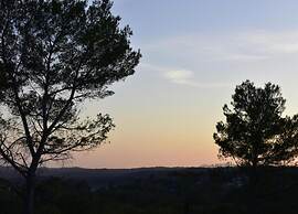 Apartment in Provence With Pool & Golf