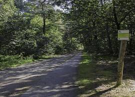 Tiny House in Brabant With Cozy Terrace