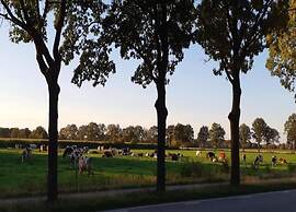 Tiny House in Brabant With Cozy Terrace