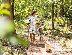 Tiny House in Brabant With Cozy Terrace