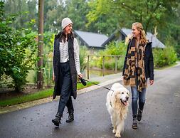 Tiny House in Brabant With Cozy Terrace