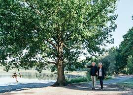 Tiny House in Brabant With Cozy Terrace