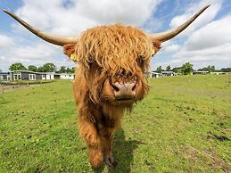 Modern Light Chalet 15km From Alkmaar