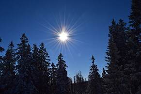 Holiday Apartment Busch