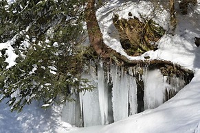 Holiday Apartment Busch