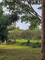 Holiday Resort Rimping