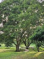 Holiday Resort Rimping