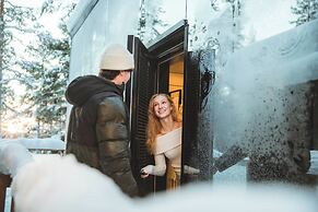 Invisible Forest Lodge