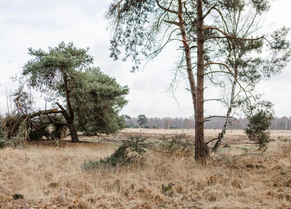 Chalet Near Eindhoven in a Green Oasis
