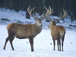 Nice Apartment With Dishwasher, in a Residence 500 m From the ski Lift