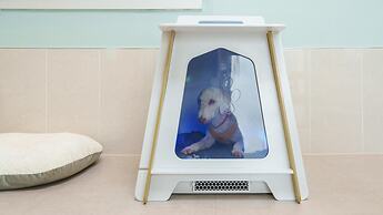 Gyeongsan Stage-ipple pet Pension