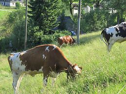Holiday Home With Terrace in the Black Forest