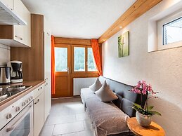Apartment in the Silvretta-montafon ski Area