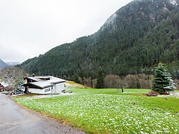 Apartment in the Silvretta-montafon ski Area