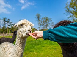 Modern Chalet With air Conditioning