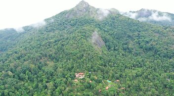 Avadale Wayanad - Stag Group Not Allowed