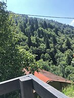 AYDER ÇALIKUŞU BUNGALOV