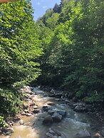 AYDER ÇALIKUŞU BUNGALOV