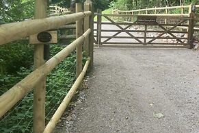 Wildwood Quarry Cabin - Pet Friendly - Sleeps 3/4