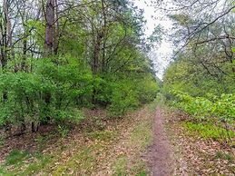 Spacious Chalet in Garderen