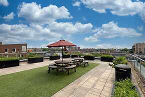 Student Only Dashwood Studios