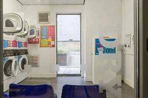 Student Only Dashwood Studios