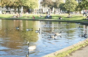 Newly Refurbished 3 bed Flat , Free Parking