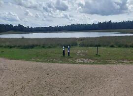 Chalet in De Peel Near Forest