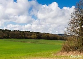 Glamping Lodge in the Ardennes