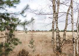 Villa in Someren With Sauna Near Golf Course