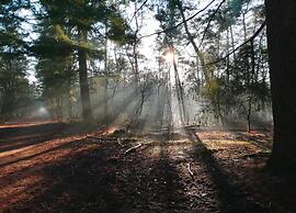 Villa in Someren With Sauna Near Golf Course