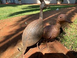 Luxurious 4 bed With Pool in Helensvale - 2255