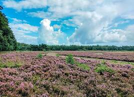 Forest Glamping Near Emmen