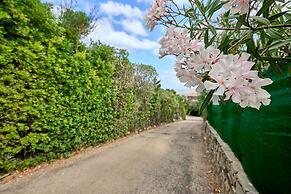 Sardinia Re - La Cruzitta - Terrace
