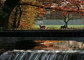 Chalet in Brabant With Spacious Garden