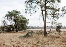 Villa in Someren Near Golf Course