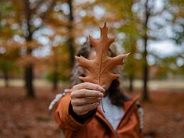 Thatched Villa on a Holiday Park