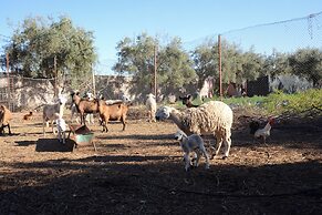 Ferme D'hôte Eco Farm Tayssir