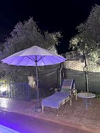 Ferme D'hôte Eco Farm Tayssir