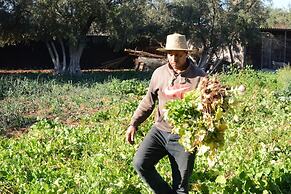 Ferme D'hôte Eco Farm Tayssir