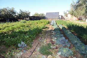 Ferme D'hôte Eco Farm Tayssir
