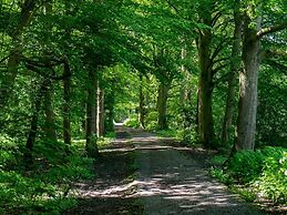 Captivating Chalet Near Amsterdam