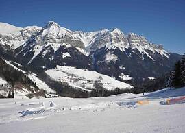 Balcony Views in Northern Alps