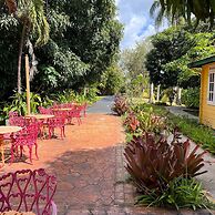El Oasis Hotel