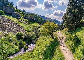 Pet-friendly Home w/ Garden