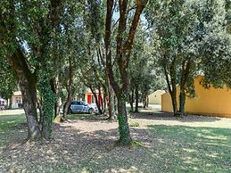 Gite in a Holiday Park With Pool