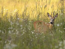 Restyled Bungalow, Near the Hunebed Center