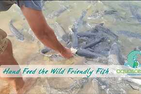 Water-front Paradise Pool - BBQ - Balcony Dining