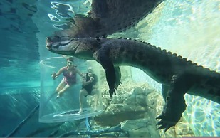 Water-front Paradise Pool - BBQ - Balcony Dining