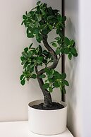 Klifowa Resort Rewal by Renters Prestige